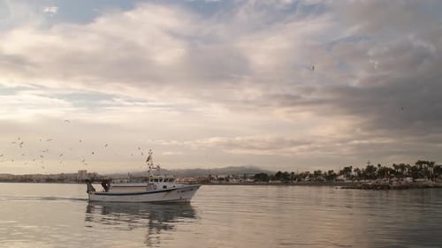 Fisher Ship a puerto