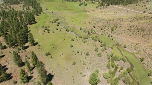Nevada Creek Valley Aerial Landscape