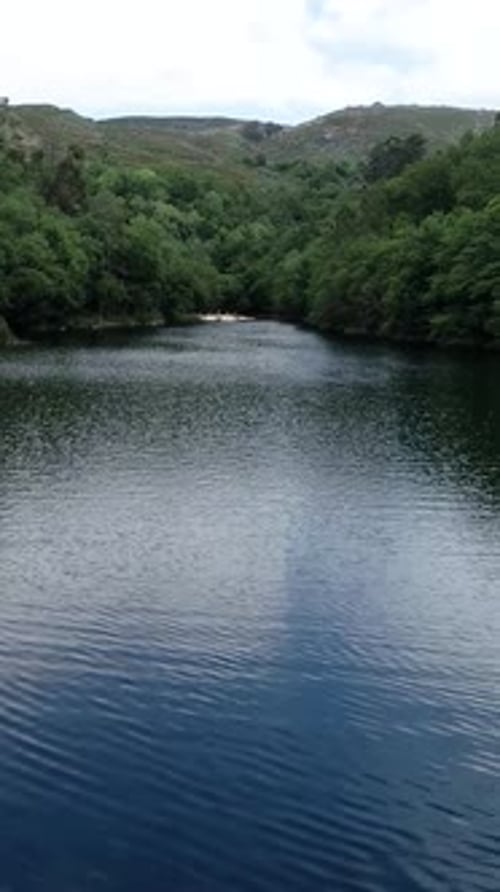Vidéo verticale d'une rivière calme et d'un paysage boisé vue aérienne