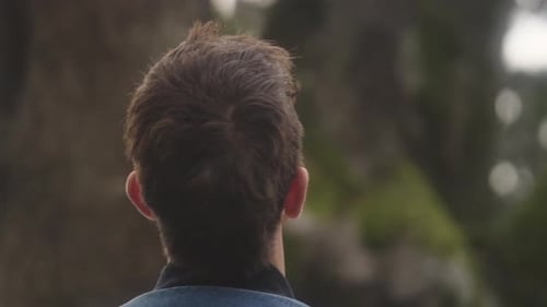 Hombre mirando un árbol