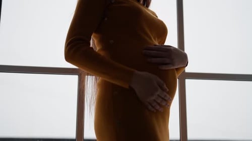 Pregnant Woman Standing in Window Cradling Baby Bump