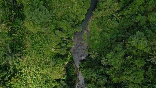 Luftaufnahme des Gebirgsflusses und der grünen Waldbäume in der Landschaft der Waldnatur