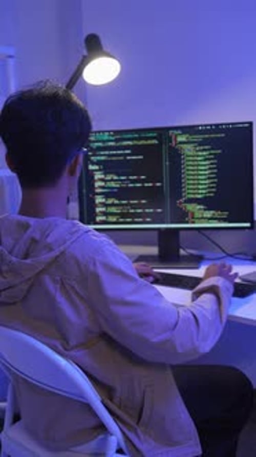 Programmer developer coding script