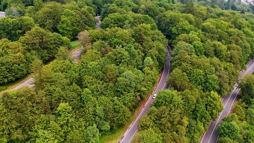 Scenic winding road through lush green forest in summer. A serene road curves through dense