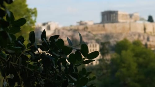 Parthenon Temple at the Acropolis of Athens in Greece on the Top of Hill in Sunny Day Popular Summer