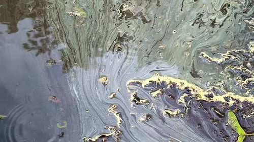 Water pollution due to oil spillage