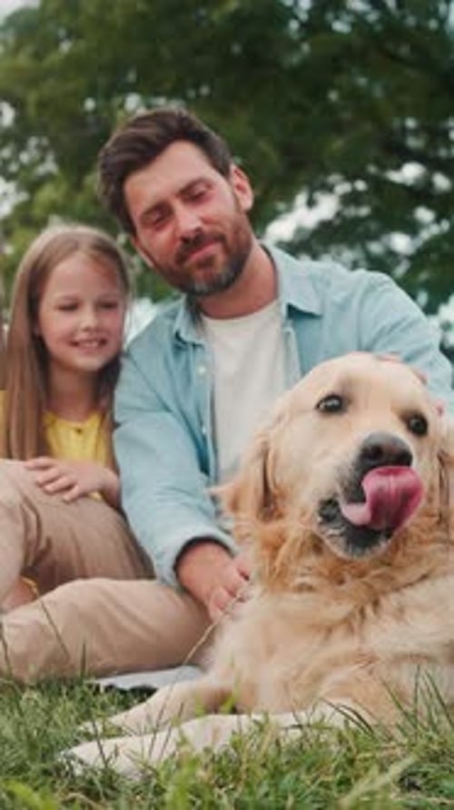 Loving Family Petting Golden Retriever Dog in the Park