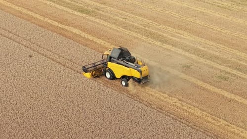 Aerial of Yellow Combine Harvesting Wheat Crop