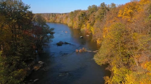 Aerial view. Flying over the beautiful sunny autumn forest colorful trees.