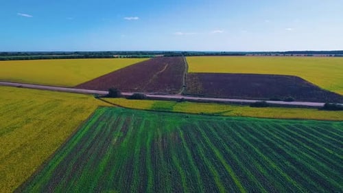Two Beautiful Fields