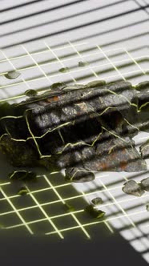 Astronaut Foot Print 3D Animation