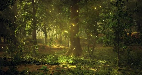 Forêt enchantée qui brille d'une lumière douce au crépuscule dans la nature