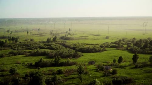 Lush Green Field Landscape With Scattered Trees
