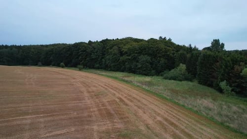 Drone dolly in front of forest edges that border up to a field
