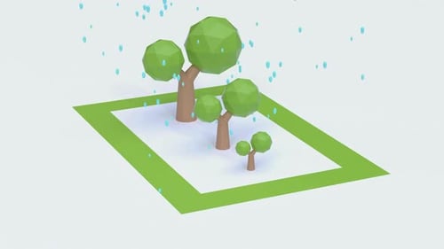 Trees on green square during rain
