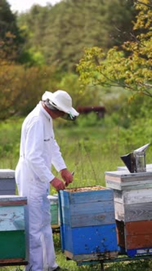 Beekeeper near wooden hives on beautiful nature backdrop.