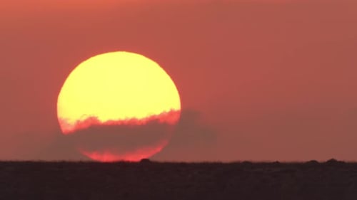 Big Sun Ascending in Orange Sky