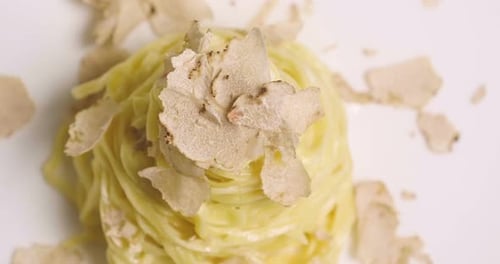 Egg pasta dish, typical Italian, with fine white truffle grated on top. Concept of: gourmet cuisin