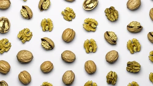 Seamless Looping Walnuts Pattern on White Background