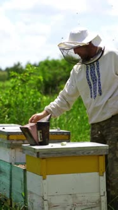 Beekeeper tending beehives in rural setting