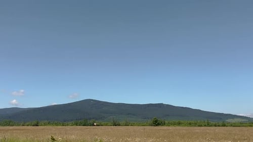 cinematic video from car of coniferous forest, mountain view, meadow and field,
