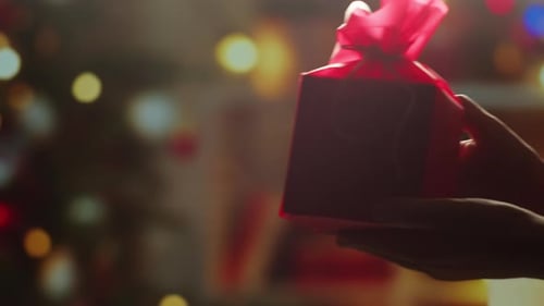Christmas Gift Exchange Between Two People