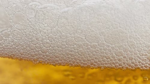 Close Up of Bubbly Beer With Foam