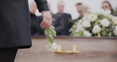 Death, funeral and hand of man with flower at coffin, family at service in graveyard for respect