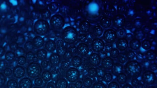 Abstract Blue Fluid Bubbles Motion Background