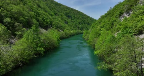An untouched natural scene featuring a clear river flanked by newly green trees and a gentle sky, vi