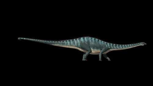 Diplodocus Dinosaur