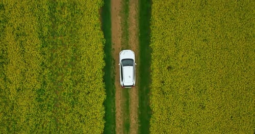 Aerial View Electric Car Driving on Country Road Luxury Modern Vehicle Riding Fast Along Trees and
