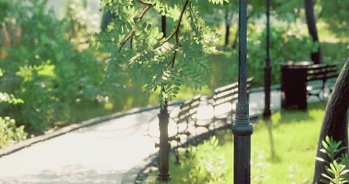 Park Pathway with Benches and Lampposts Under Sunlight in a Tranquil Setting