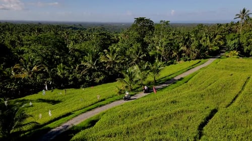 Friends on scooters driving down road in rural Bali on beautiful day. Drone panning shot.