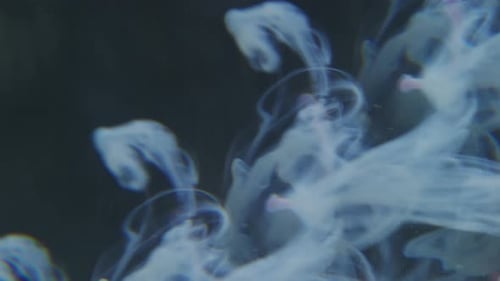 Tropffarbe „Smoke Swirl Ink Blob Art Prism“