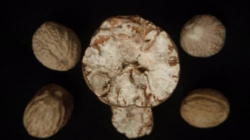 Top view of a nutmeg half. Close-up, other nutmeg at the bottom. Rotation.