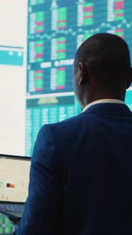 Vertical Video Administrative Assistant Examining Important Big Data Visualizations