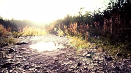 Dirt Country Road in the Field in Autumn on a Sunny Day