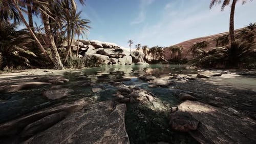 Oasis Lake in Desert Surrounded High Yellow Sand Dunes