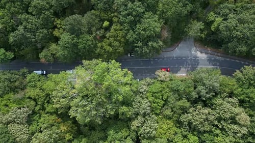 Aerial Drone Video of a Car Navigating a Curvy Road Through Lush Green Forest The Overhead