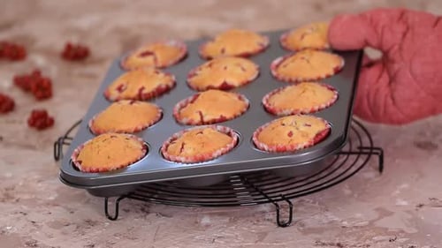 Freshly Baked Muffins with Red Currants Closeup in a Muffin Pan on the Table