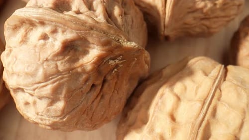 Fresh Walnuts on Wooden Surface in Daylight