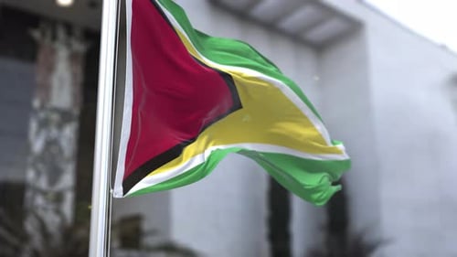 Realistic Guyana Flag Waving Animation