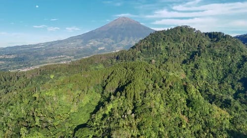 Beautiful view of forest landscape in the hills with mountain background.