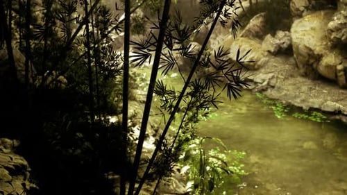 Tranquil Creek Corner Surrounded By Lush Greenery and Textured Bark