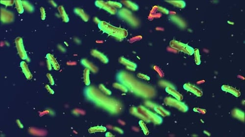 Animated Microorganisms Background for Science and Medical Visuals