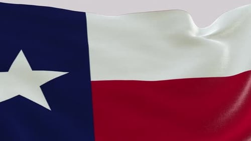 Realistic Texas Flag Waving in the Wind Loop