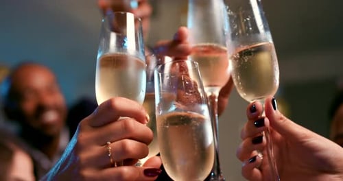Friends Toasting Champagne at an Indoor Celebration