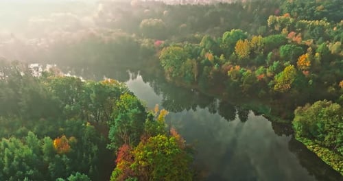 Misty river and forest in autumn at sunrise.