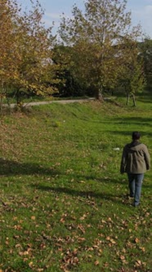Autumn Walk Among Green Trees
